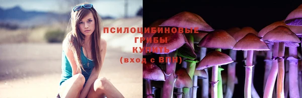 соль курить ск Аркадак