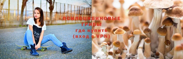 твердый Арсеньев