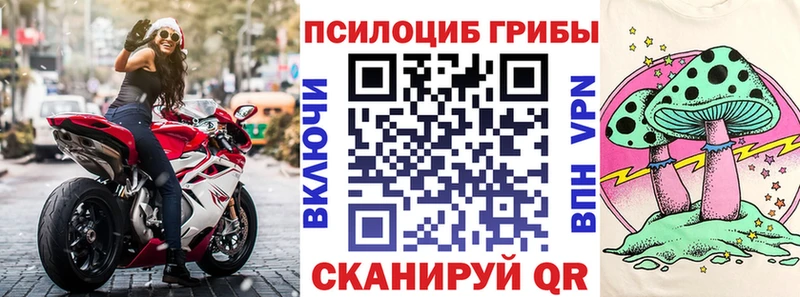 Псилоцибиновые грибы Magic Shrooms  Оса 